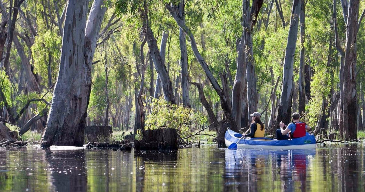 Edward River canoe and… | Visit The Murray - Edward River ...
