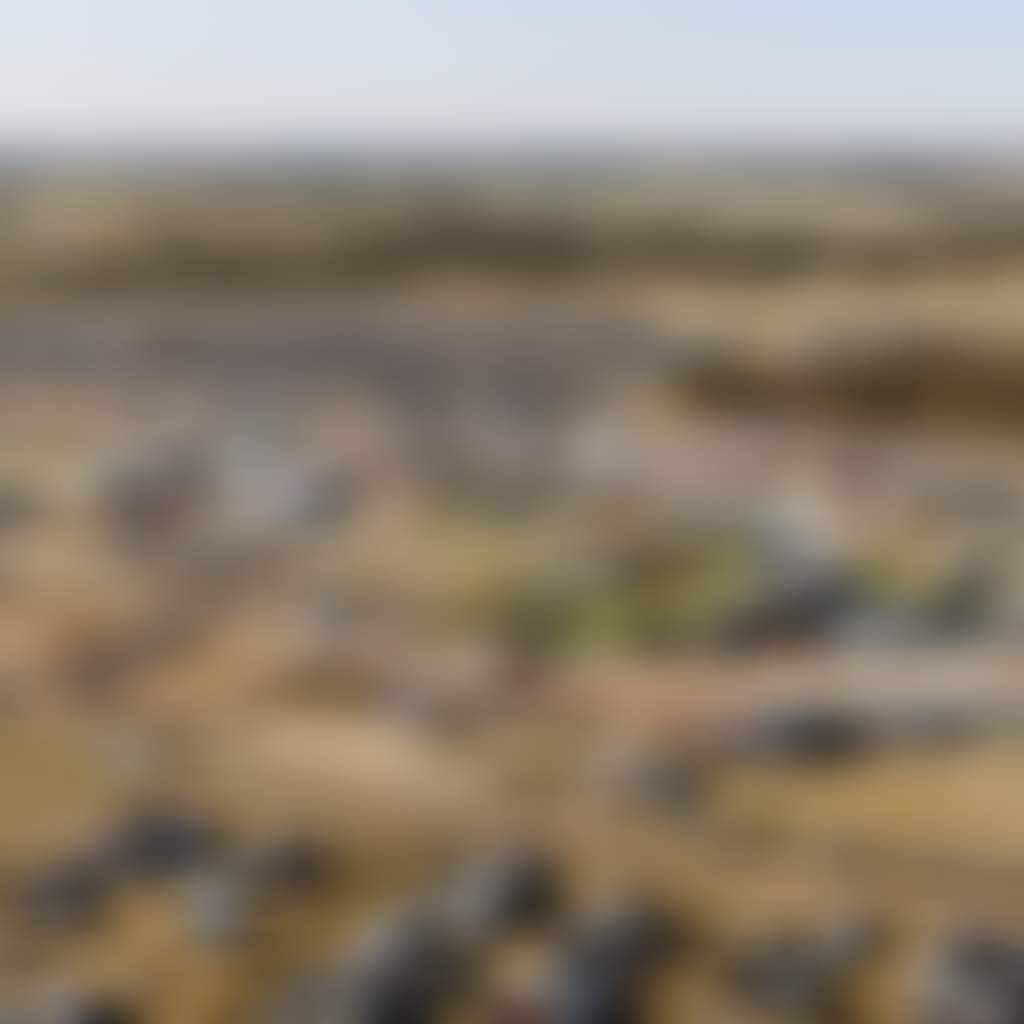 Aerial view of the Deni Ute Muster event grounds