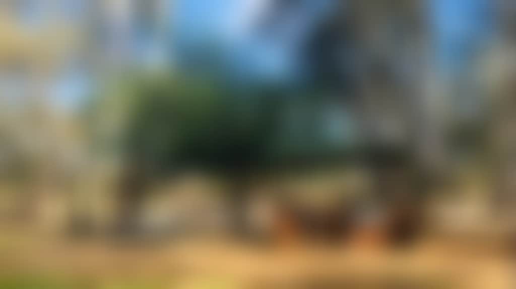 452669401A974Bf17B05602E02C6190B