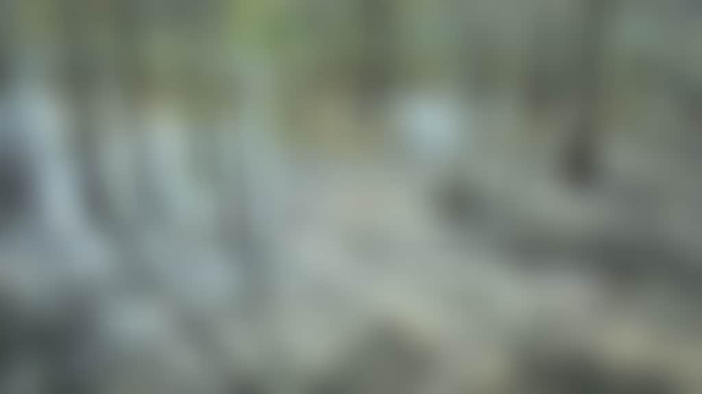 Ae712714D973008C9D3B23207E3A2553