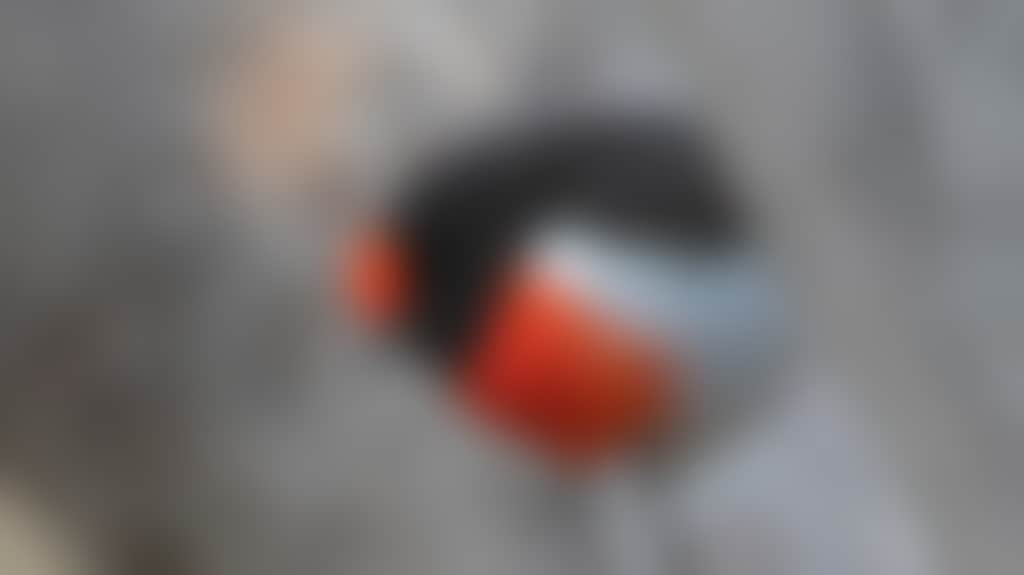 9970C1F99C1C04F605A38Bf1Dd5C8A3E