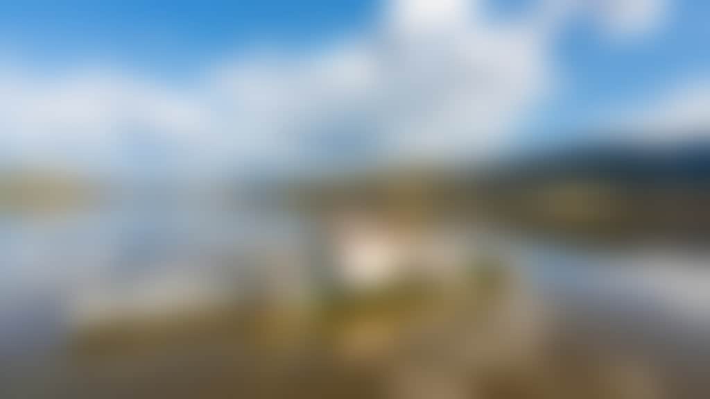 D257701E3F4Cd5B123C2C517591668Bb