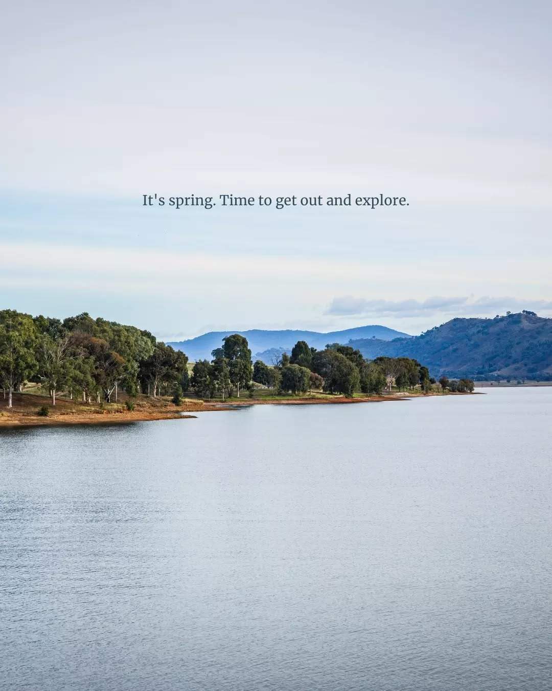 visitthemurray