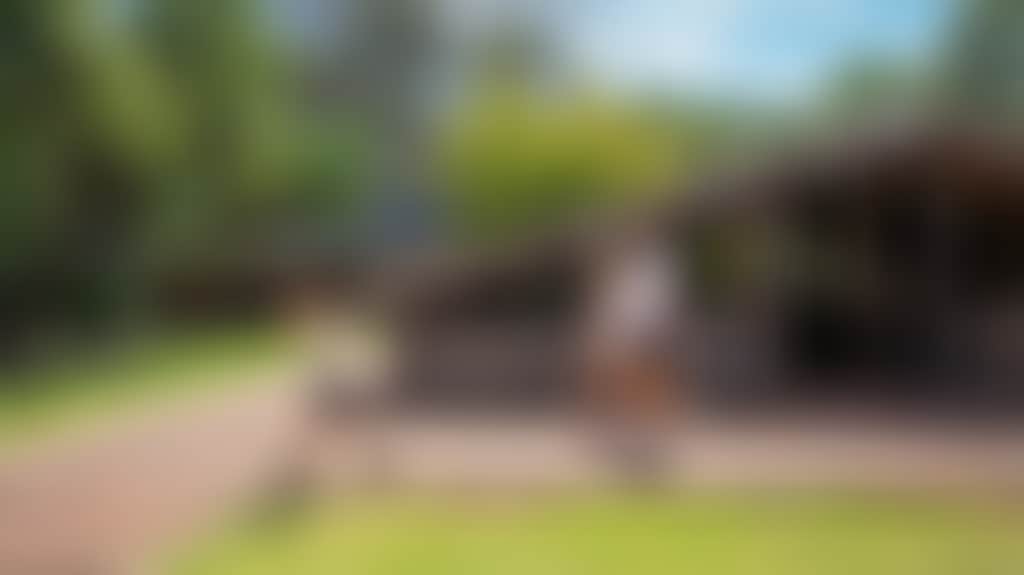 Dd1Ca35C0E4Cd8F3D7E177Fc97Da1364