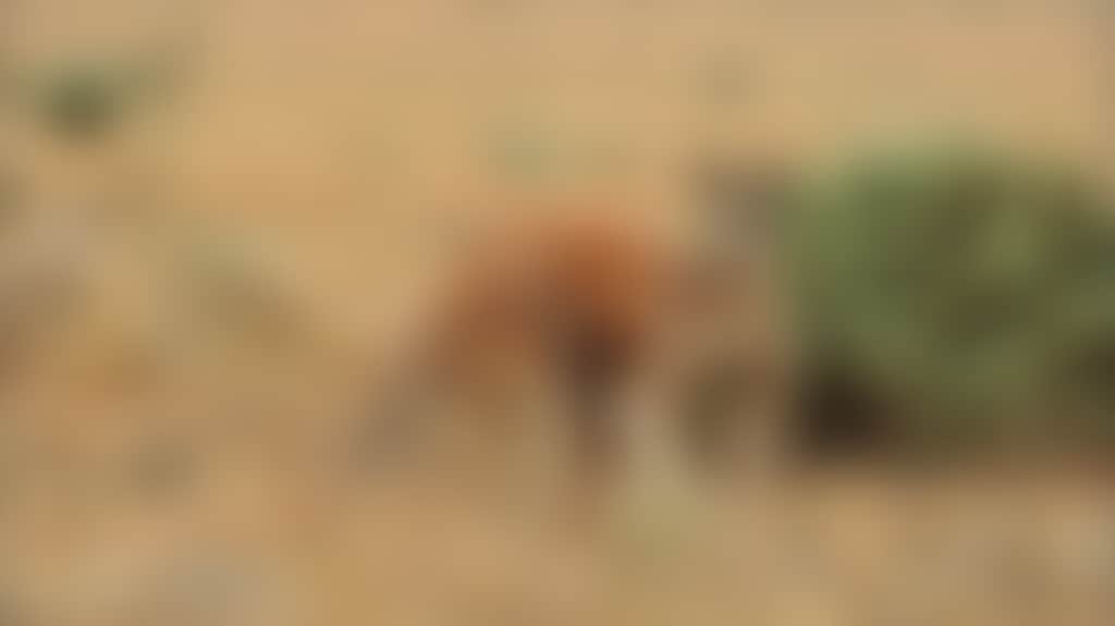 87529Fa5E28B9C3Bd78213A8A78E1920