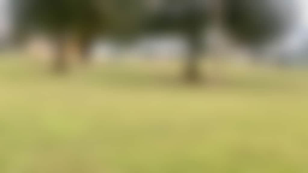 Abdefbd9D84F4F22C534918B6F674914