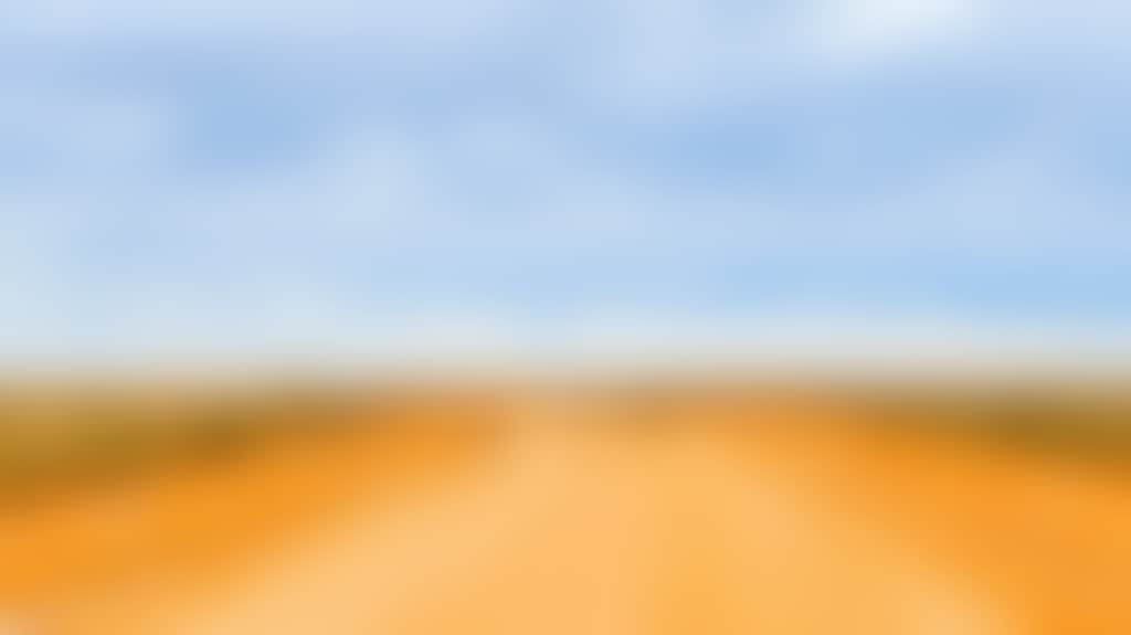 Mungo_Kangaroos_Jfkblnz