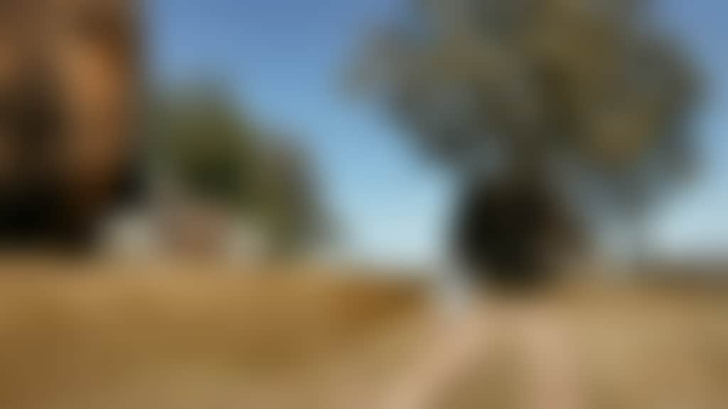 D905462463Eb0C78Dc8Ba88A2C925A11