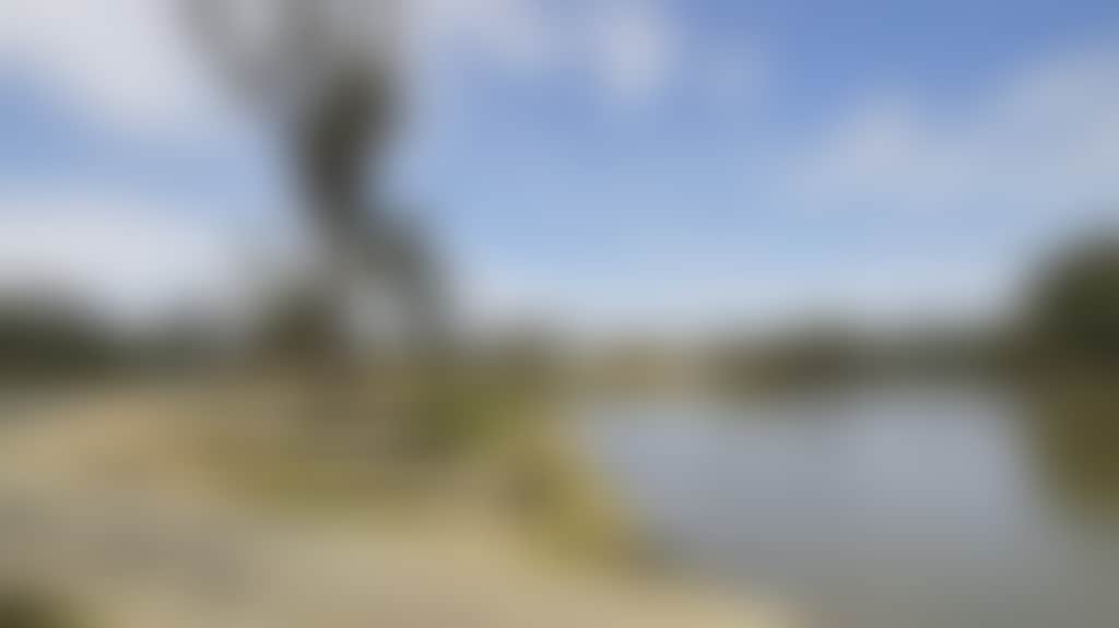 Five-Mile-Picnic-Area-05_Qhxlshc