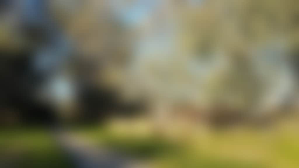 01177B8962Dd44617Ea0487B557E7Ba5