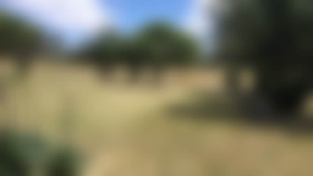 Gpdzap4U3Xicovcbnjux_Pb4K59P