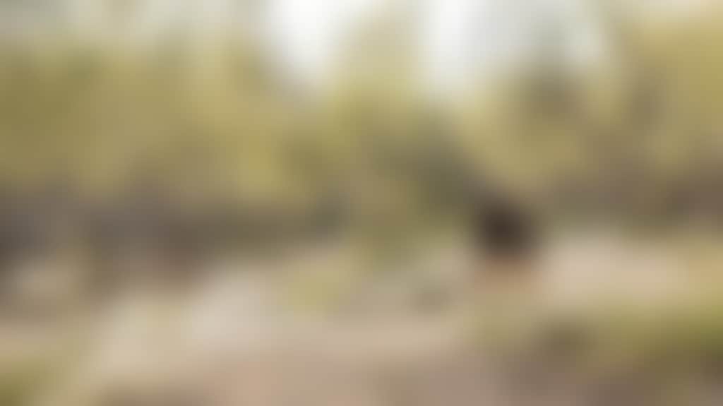 52836B858704E24E8196F3Bb165Ef542