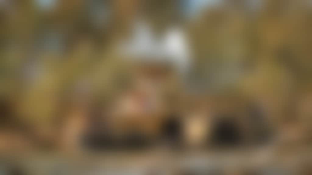 Fcc93A53356559D1F1Faa947252E3D92