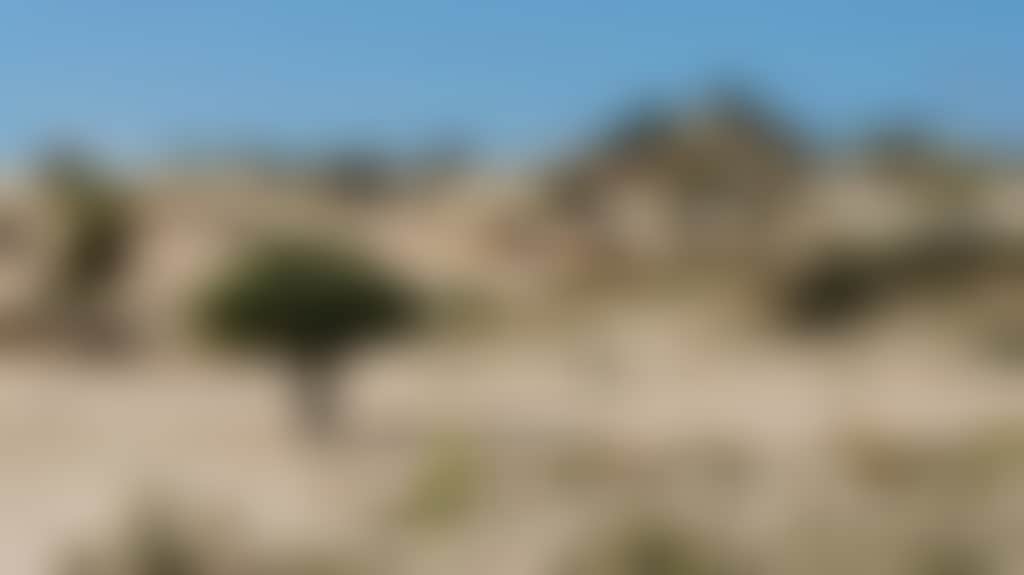 7E4F20349803268E8Ef6488Bbb051889