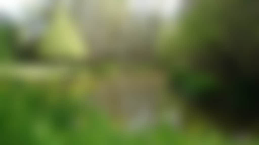 C646505Cd6C70Dde9E310Dc49A4Ef53F