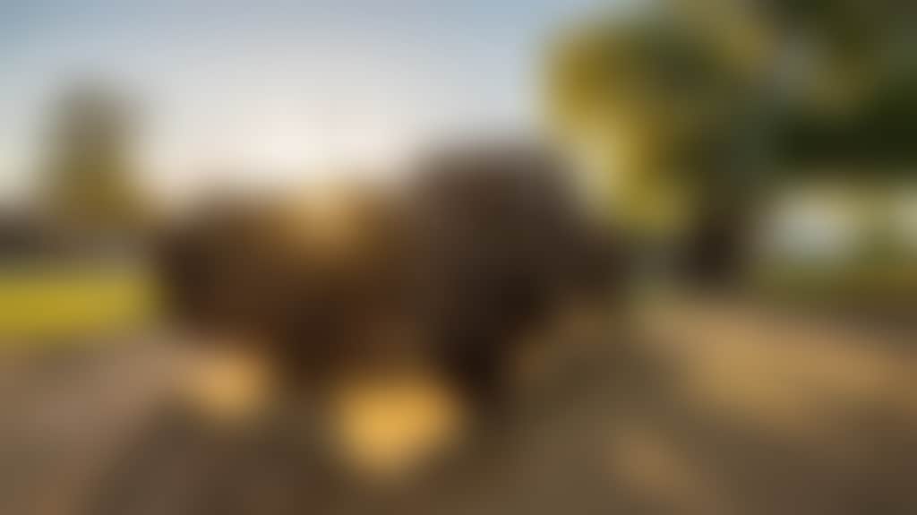 15256864B5Be5C1C32977D5B57B2C31C