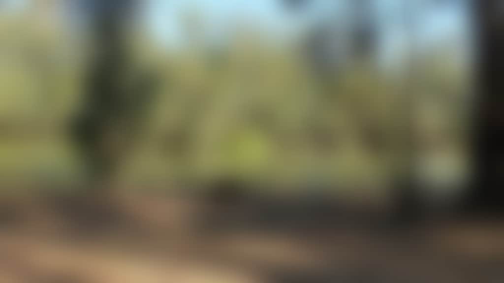 Murray-View-Murray-River-Pig-Bend_Jckfepj