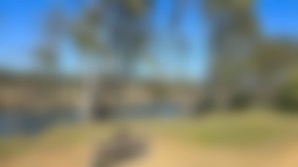 7D020Cc8E00B03Df359769B8Dab32Fcb