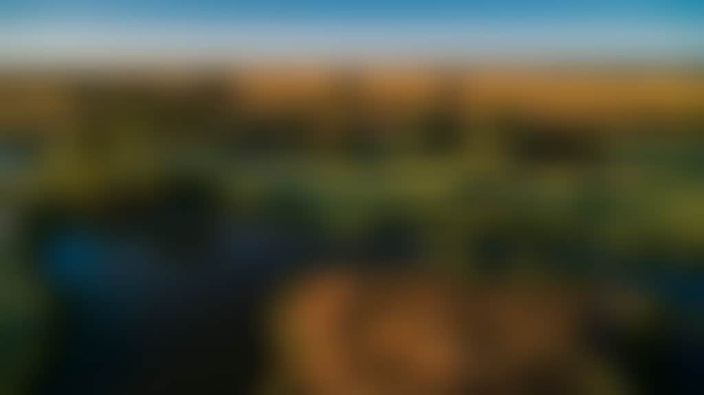 91366Ea29318F539E37Ee1Cfed1F9Dd4