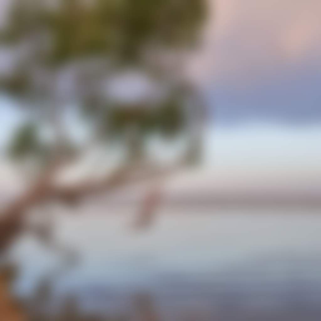 Lake Mulwala Swing 9035