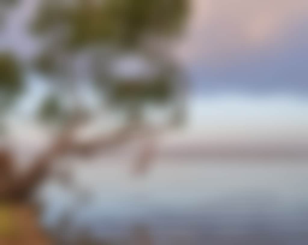 Lake Mulwala Swing 9035