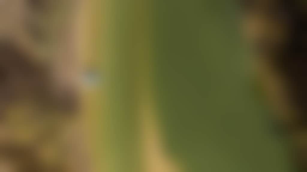 E0D6935E6C80698B43A34531261F1E50