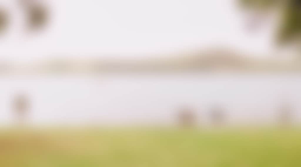 Couple and dogs at Lake Hume near Albury Wodonga