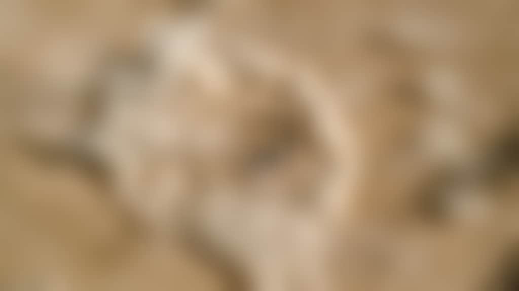C8A92C57063668D94D9983E4E4D580D6
