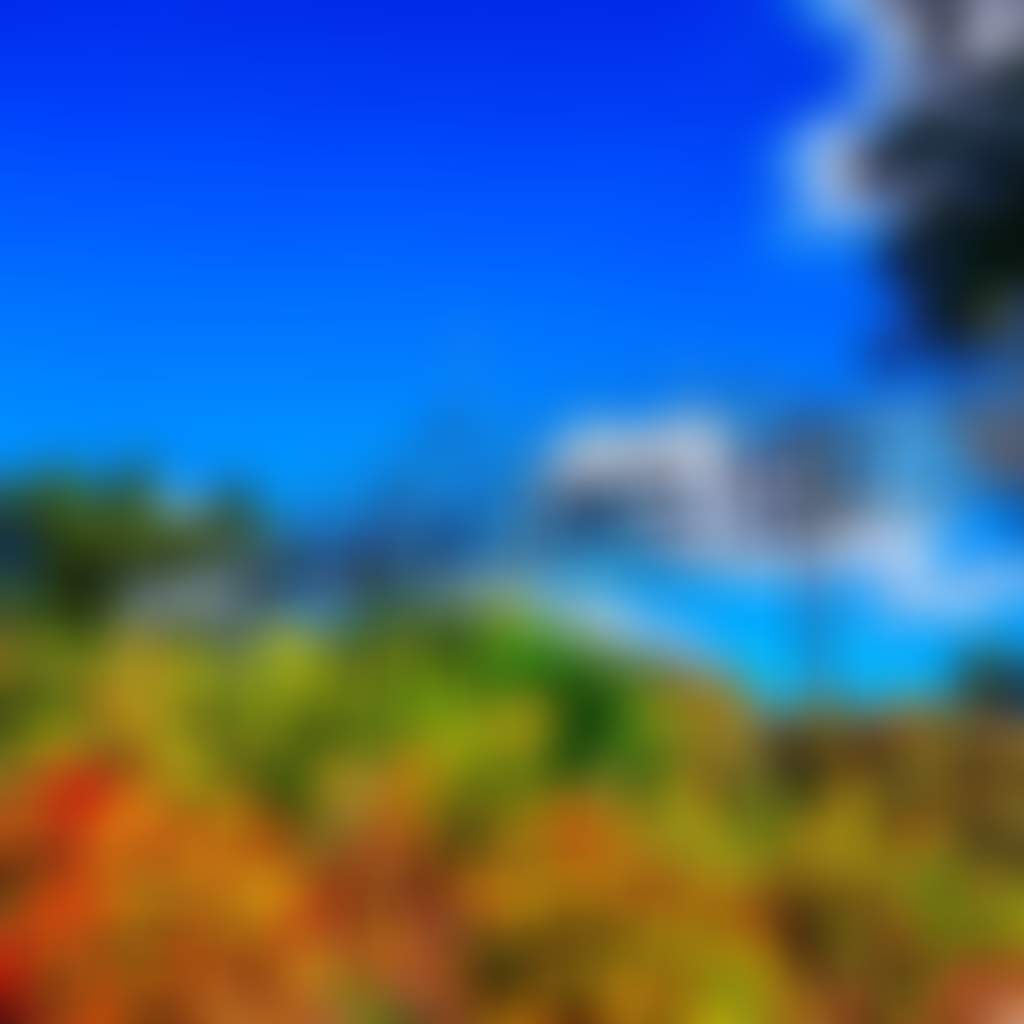 DSC03334