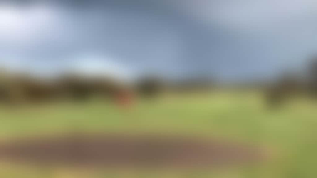 0Dc11D96Cabc9E123F23B8D8Ff9D885E