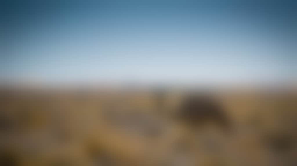 7B94Ece81205C65B5E08732D26A70Ab4