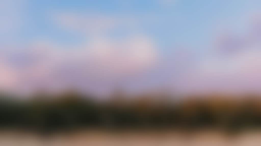 0910Fa93F2501E2Ea111A9666C6862Ab