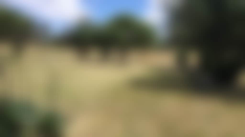 Gpdzap4U3Xicovcbnjux_Sxyhh9I