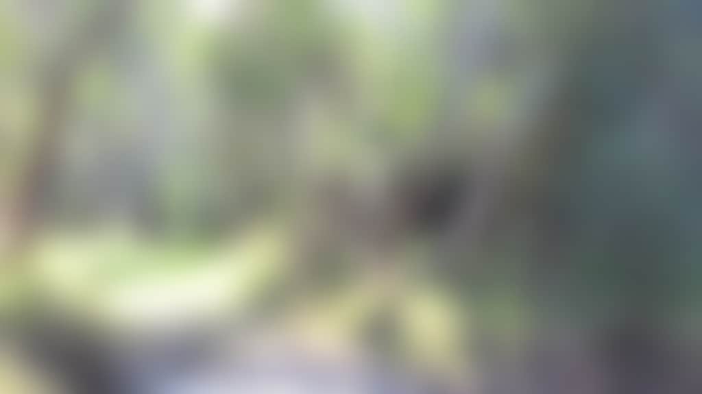 76269415E20408E6E1F698Ef9F0Ccc36