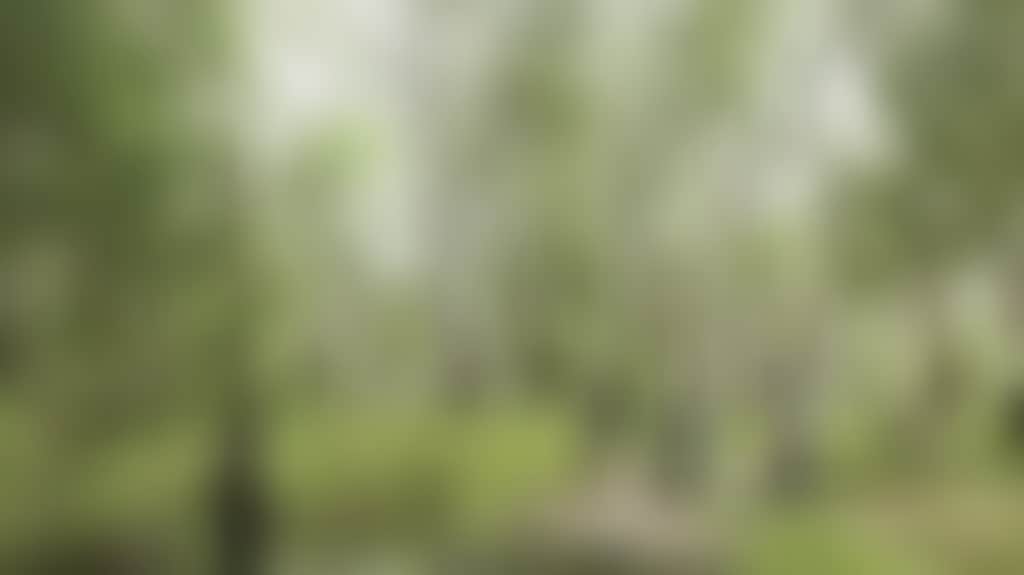 Cycling_B31Iu74