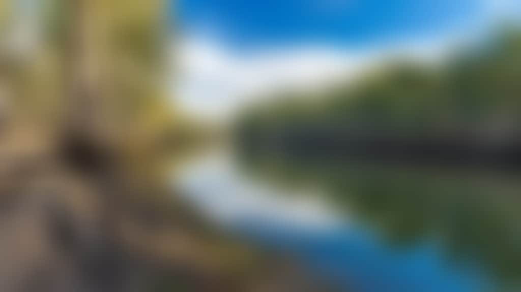 5C2E1D912Ebbdae847Da8E978Fe8C2B1