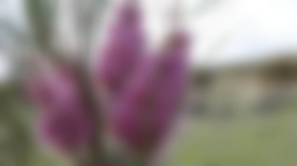 D774E3F59F0646Eb0D37D14053Ac149F