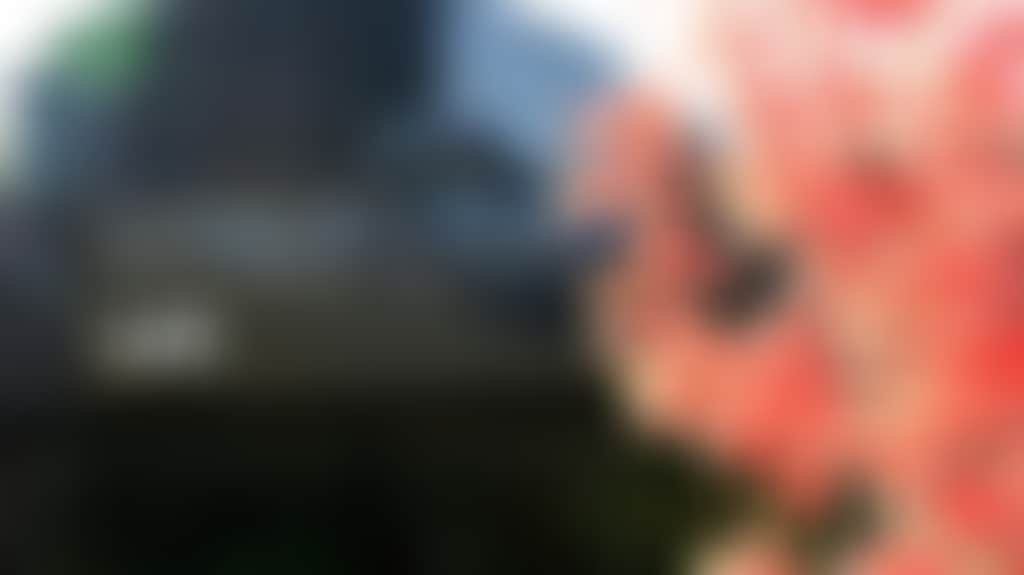6122202C62Fb83917Ceaebd5A856C8D8