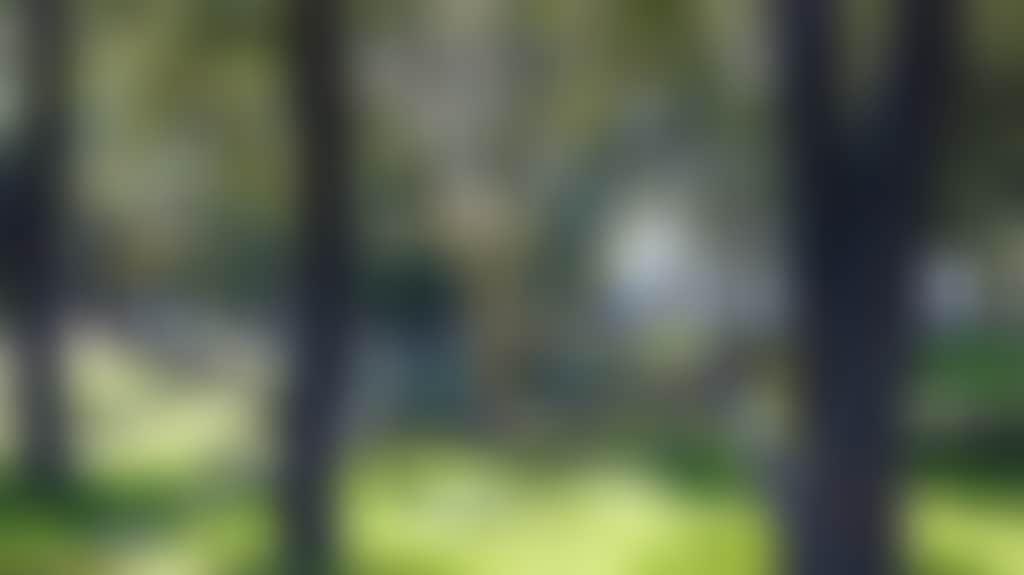 F22Bc7E391200263A78E4B536088C275