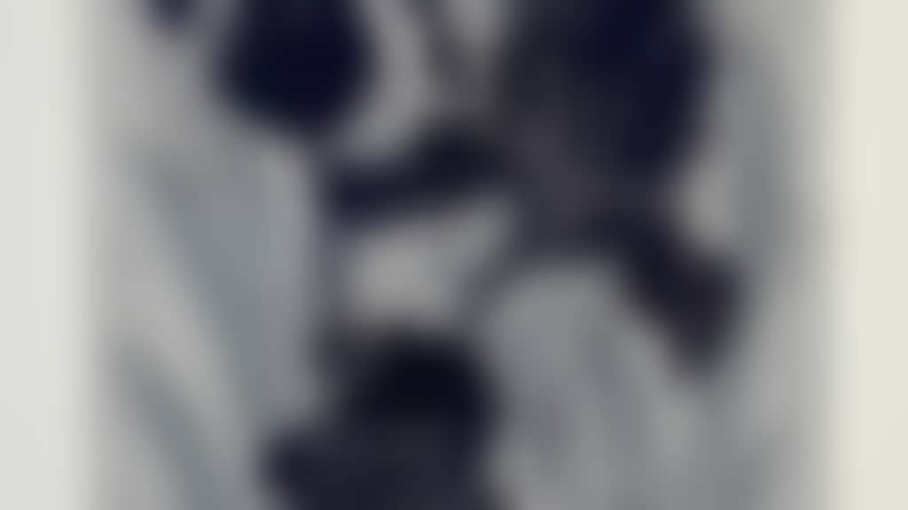 93132479Ab92Fc911C9Da3D8Dd2E22D4