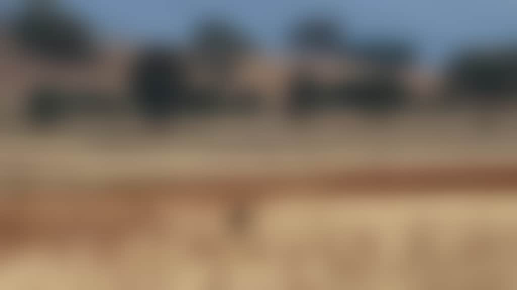 Tqq2Tvuhzvp9Cgpmdmgj_1Ahz6Bv