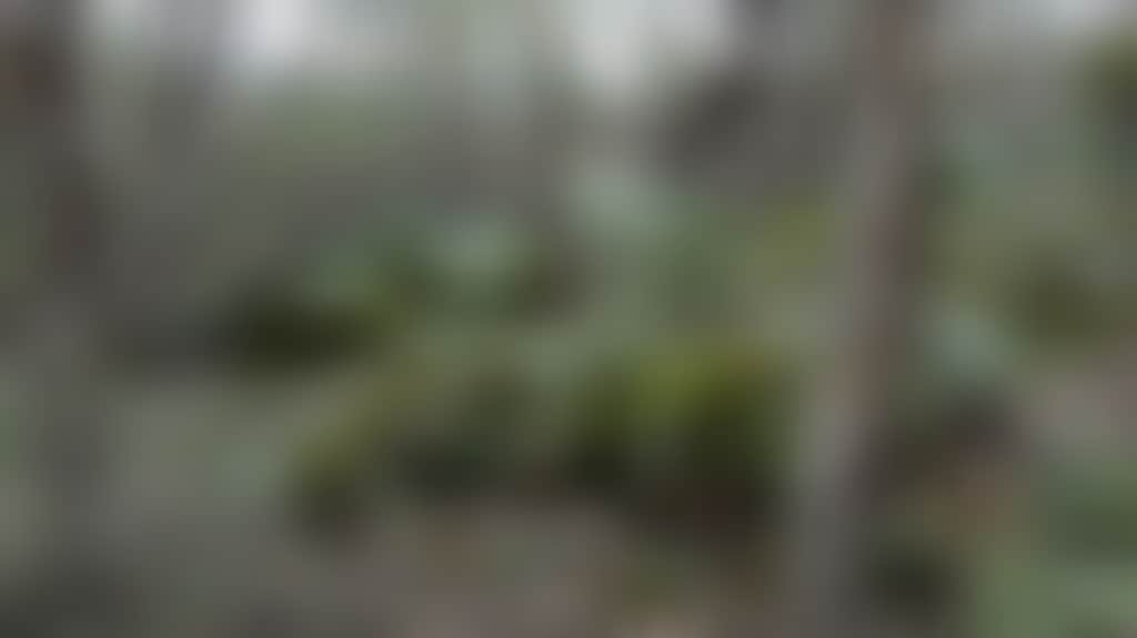 3346C883700E08862F9769A5224A2E48