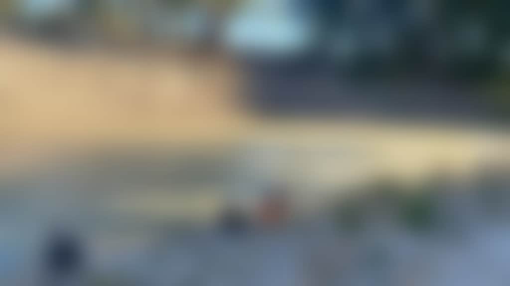 12626198Cf54203C1Af61558Aeab8508