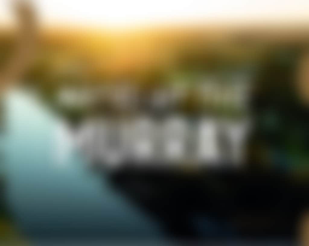 Mo M 6 Landscape 1500x600