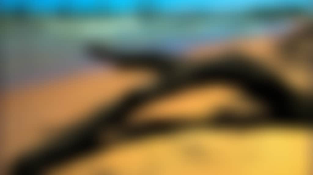 332E0Ccec08C5275B71Ab053F7D53B06