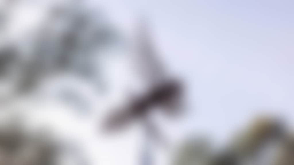 A01D5C2295A875E8B43205F838257E39