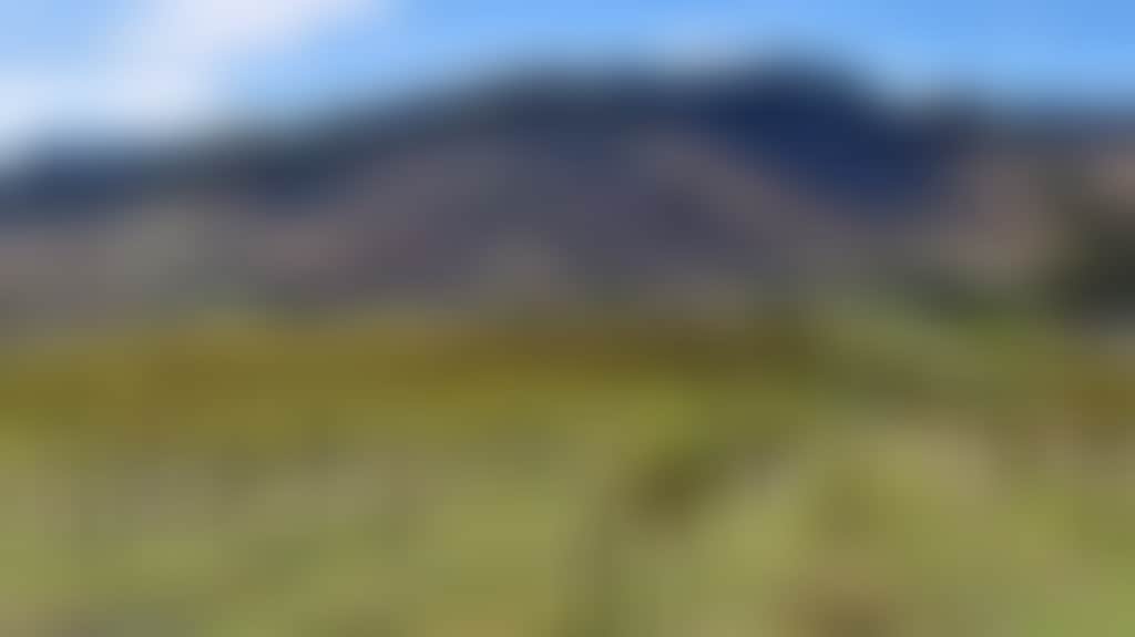 Aa9235682Ef4E77Ae948F99Bdcff55D9