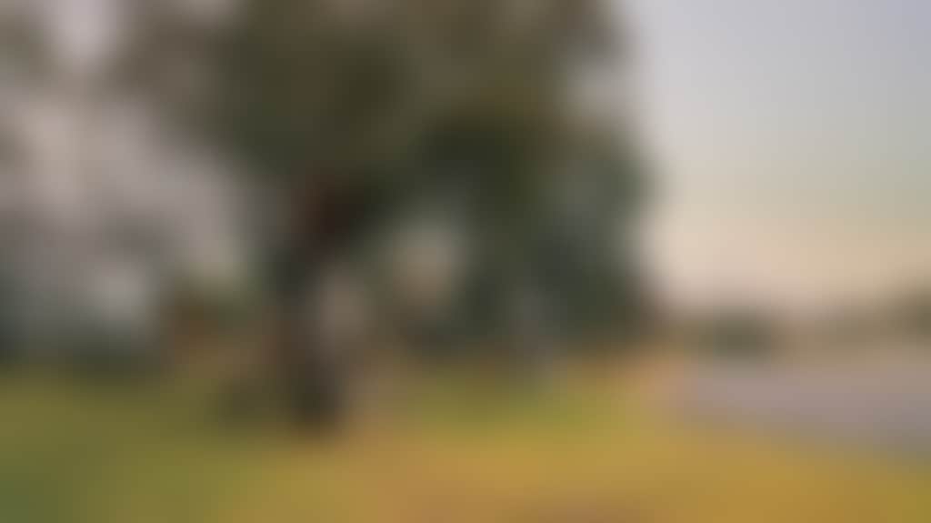 D03871Ece2F42C3F0Cbef75Dbf6Ebe0B