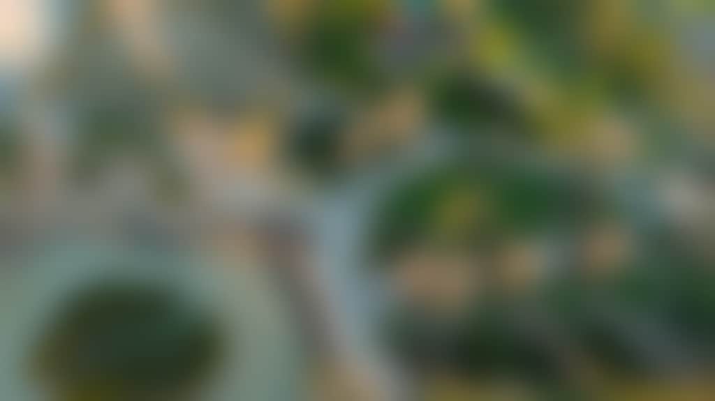 06F77497810B79579Aef27700822A78B