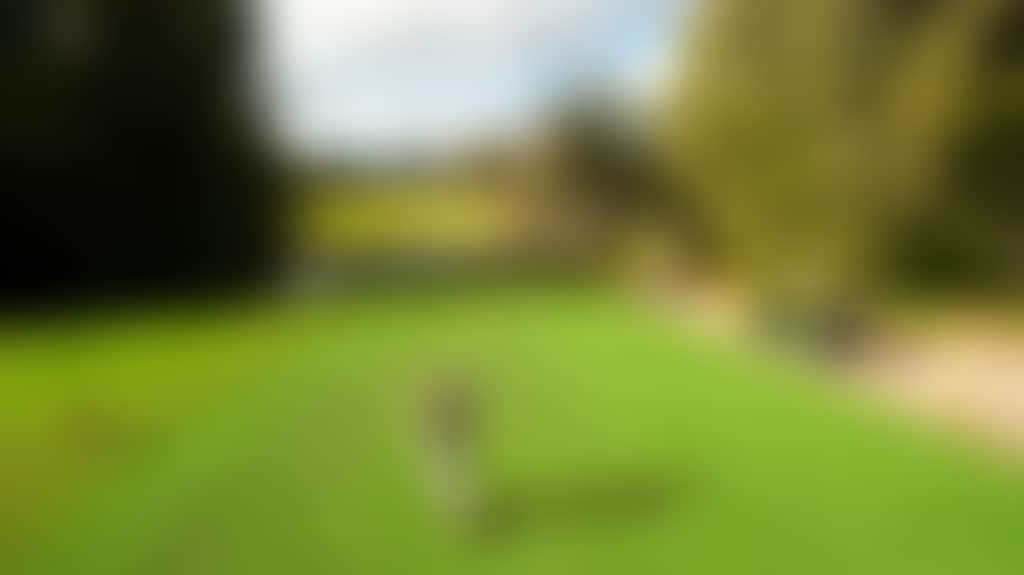 E09C20B8F84De8Ebcc4A4F7E55500Ae2